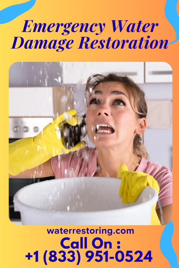 Emergency Water Damage Restoration in Laurel, MT